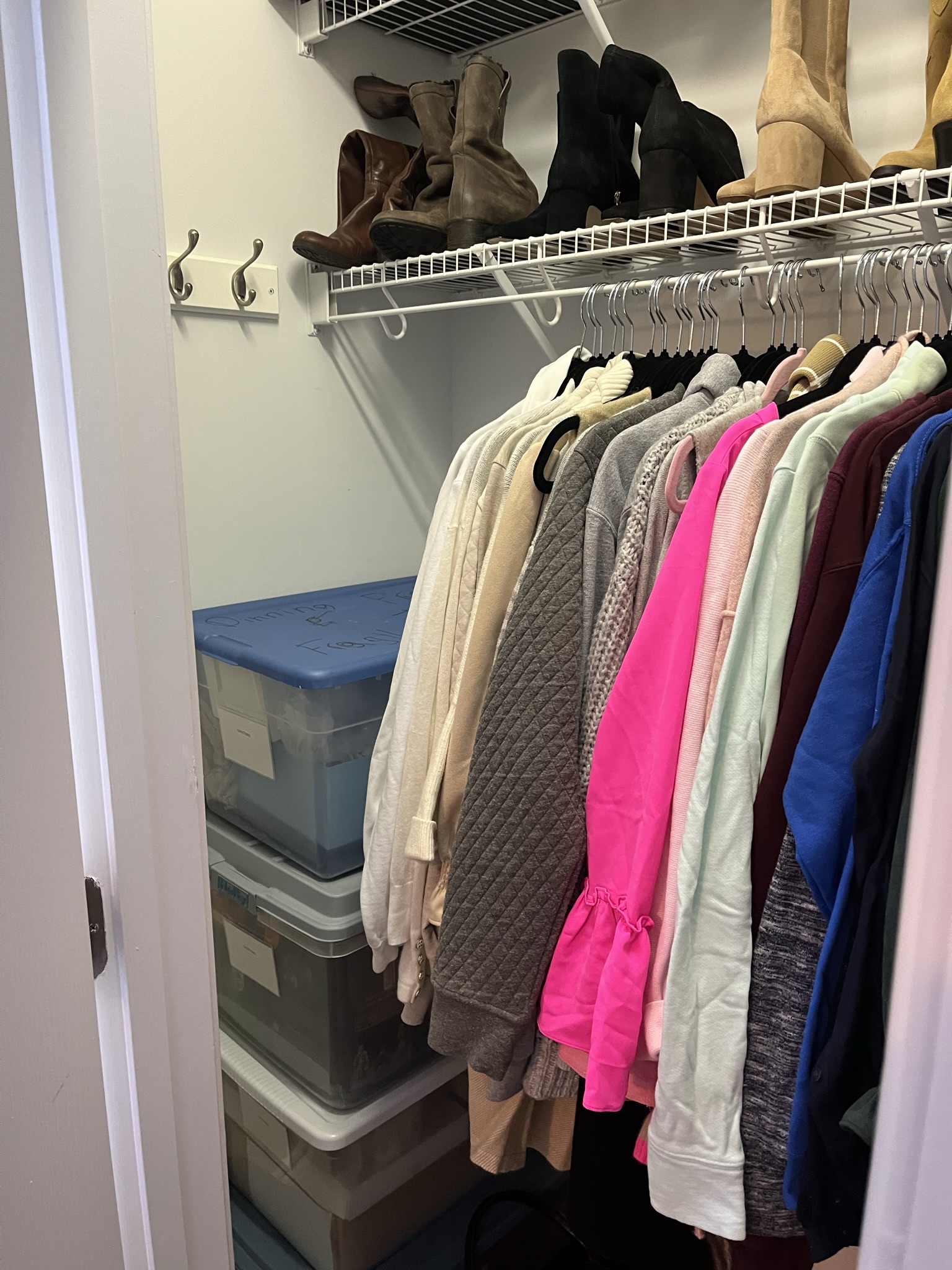 Closet Storage after